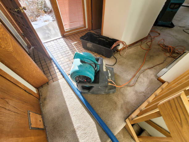 Best Water damage restoration near me  in Bedford, IA