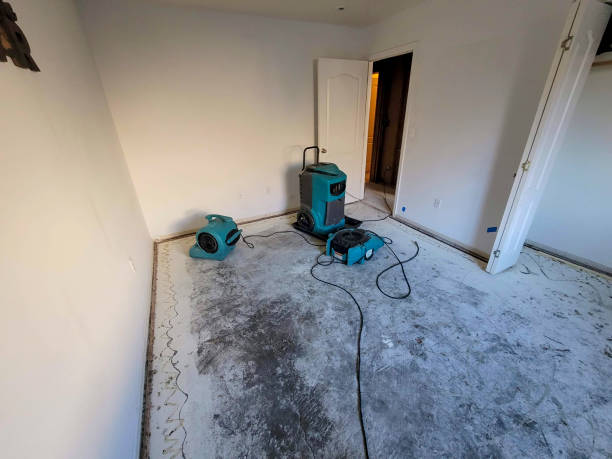 Best Emergency water damage restoration  in Bedford, IA