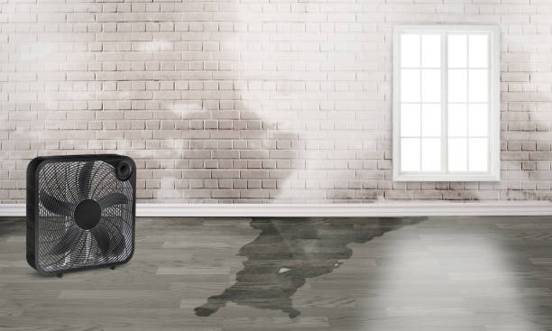 Best Water damage restoration cost  in Bedford, IA