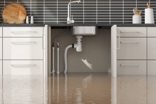 Best Commercial water damage restoration  in Bedford, IA