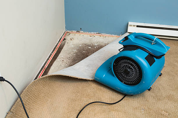 Best Mold removal after water damage  in Bedford, IA